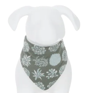 Kickee Pants Print Dog Bandana - Succulent Plants 1st Delivery