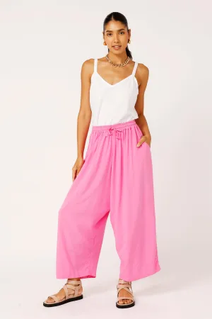 Nirvana Pant | Pink Flamingo