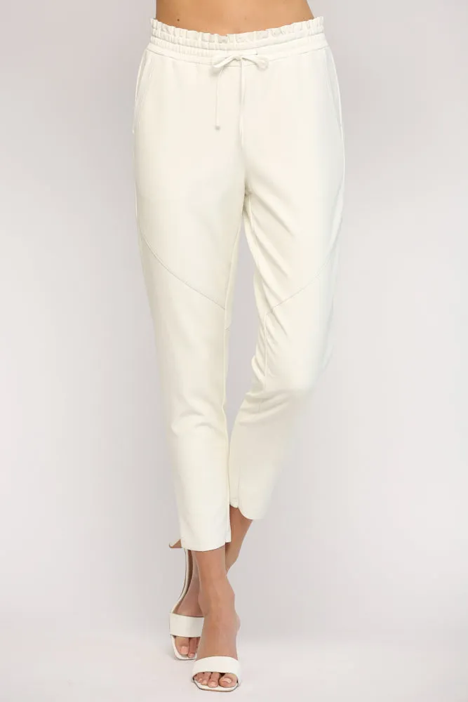 Slay Vegan Leather Pants