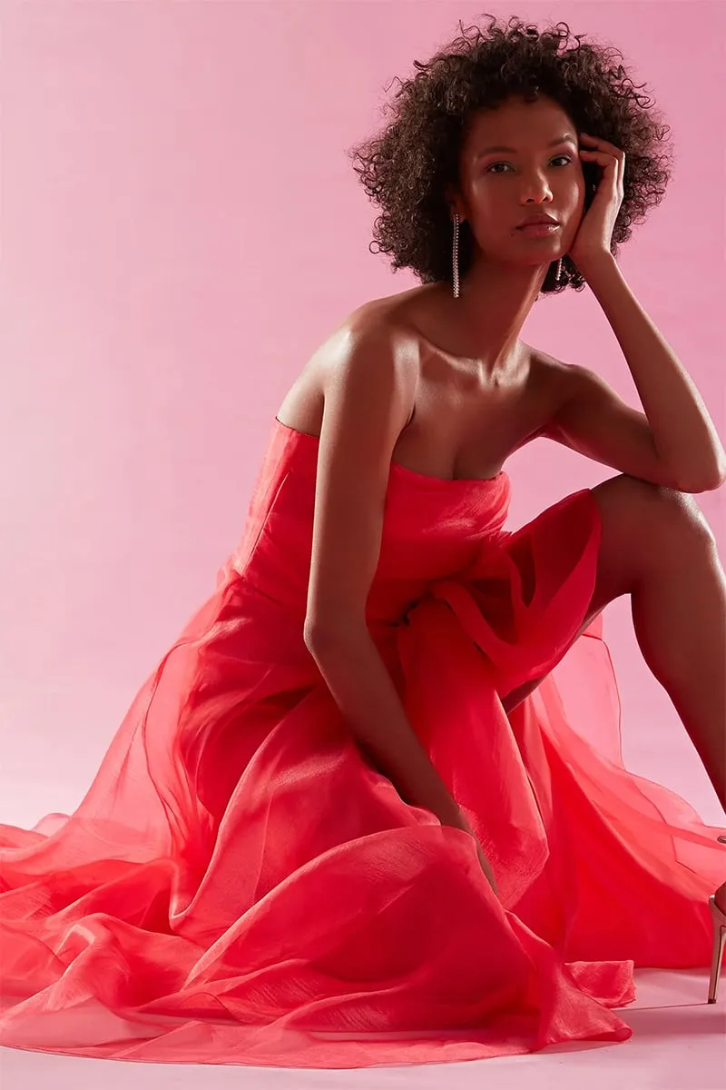 Zoa Strapless Graceful Maxi Dress