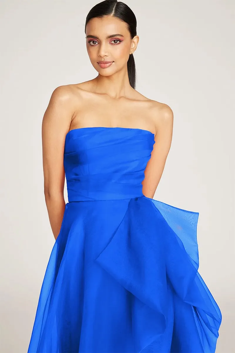 Zoa Strapless Graceful Maxi Dress