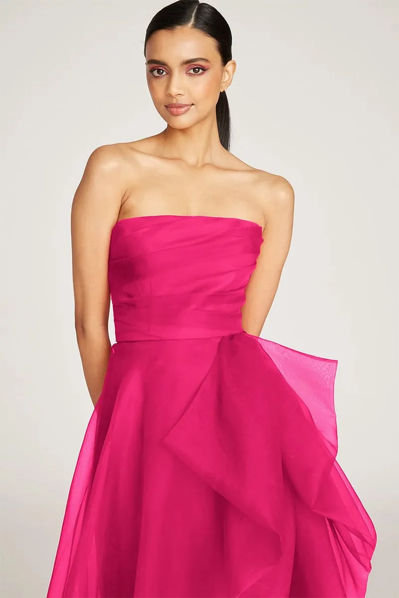 Zoa Strapless Graceful Maxi Dress
