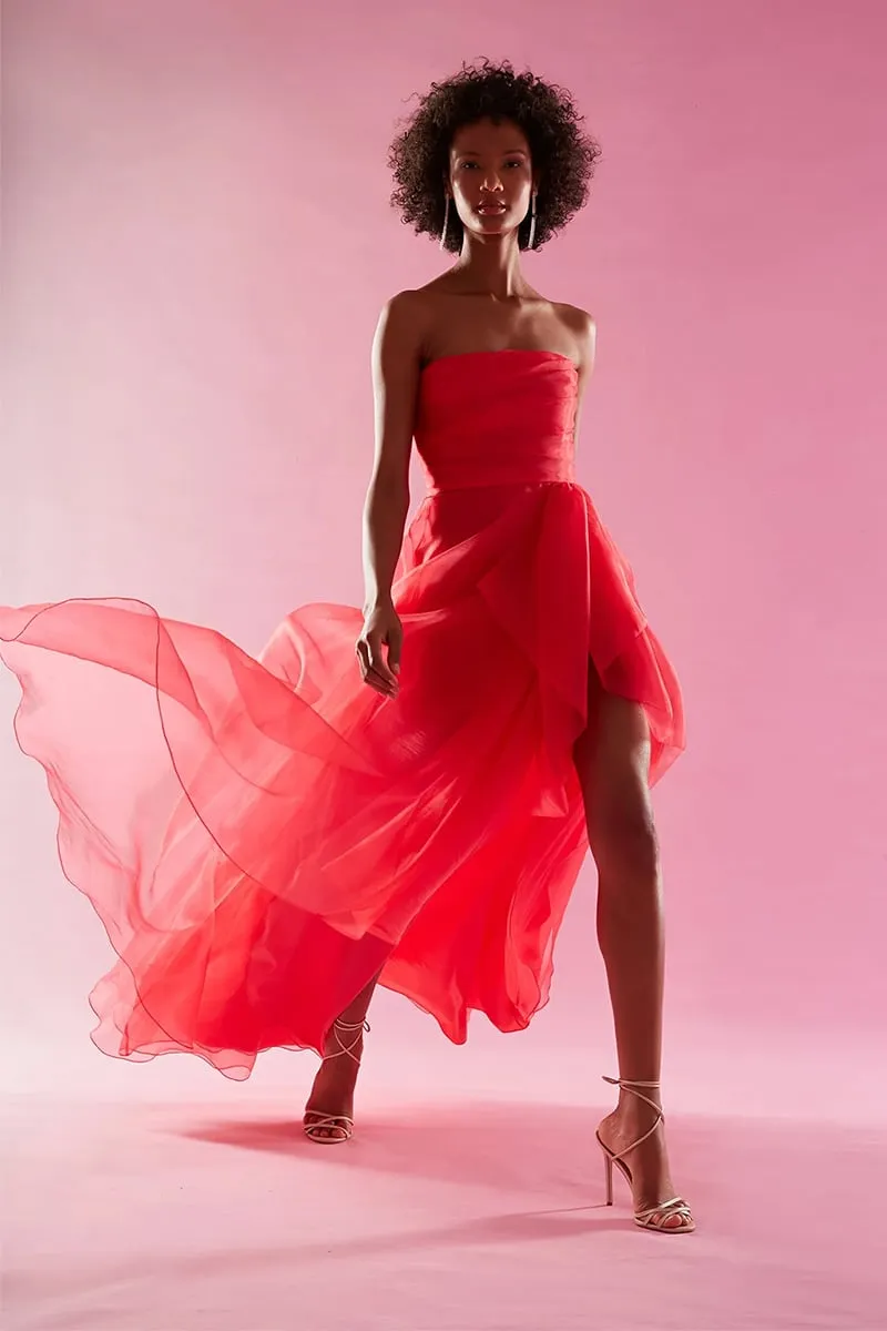 Zoa Strapless Graceful Maxi Dress